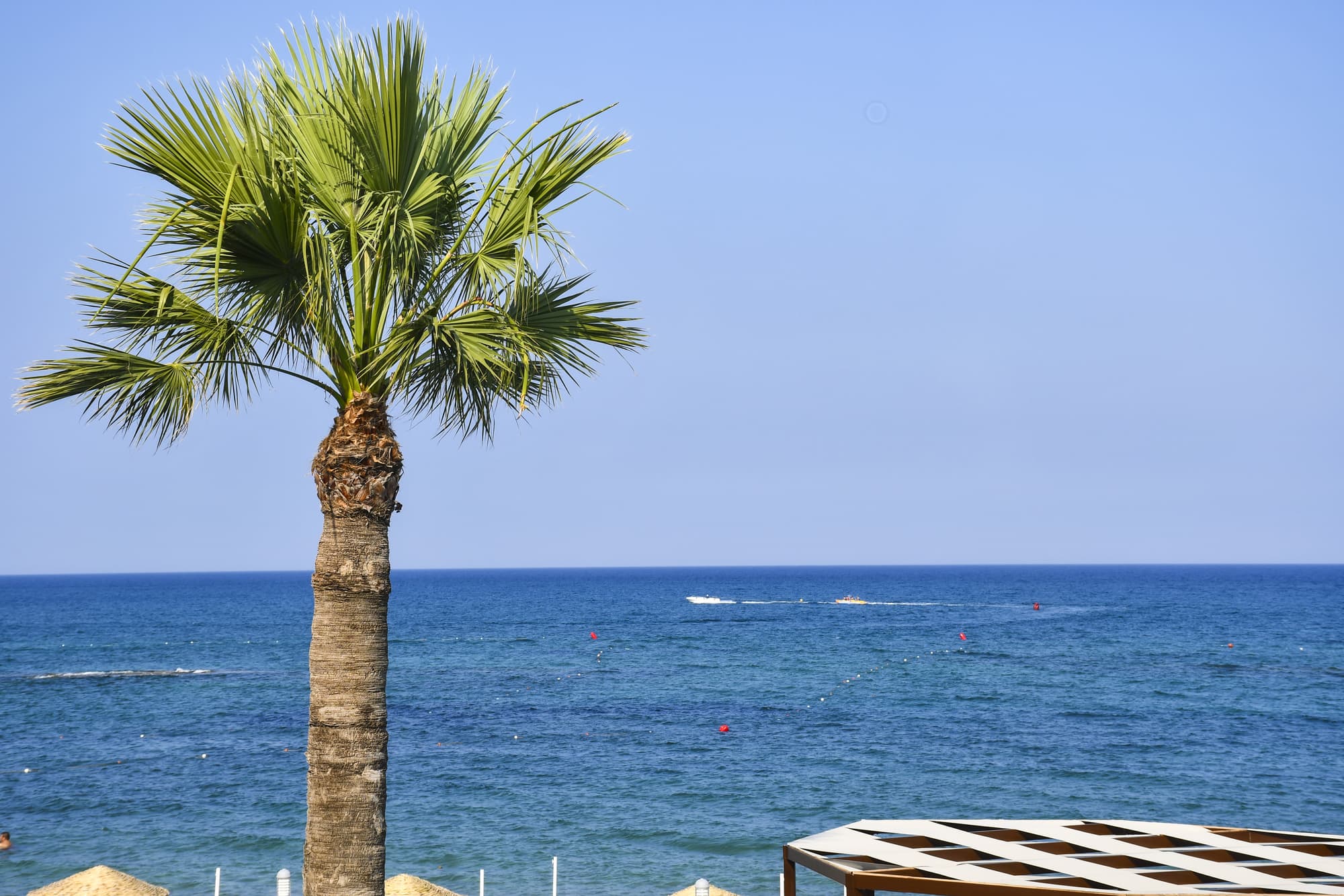 Mimoza Beach Hotel, General view