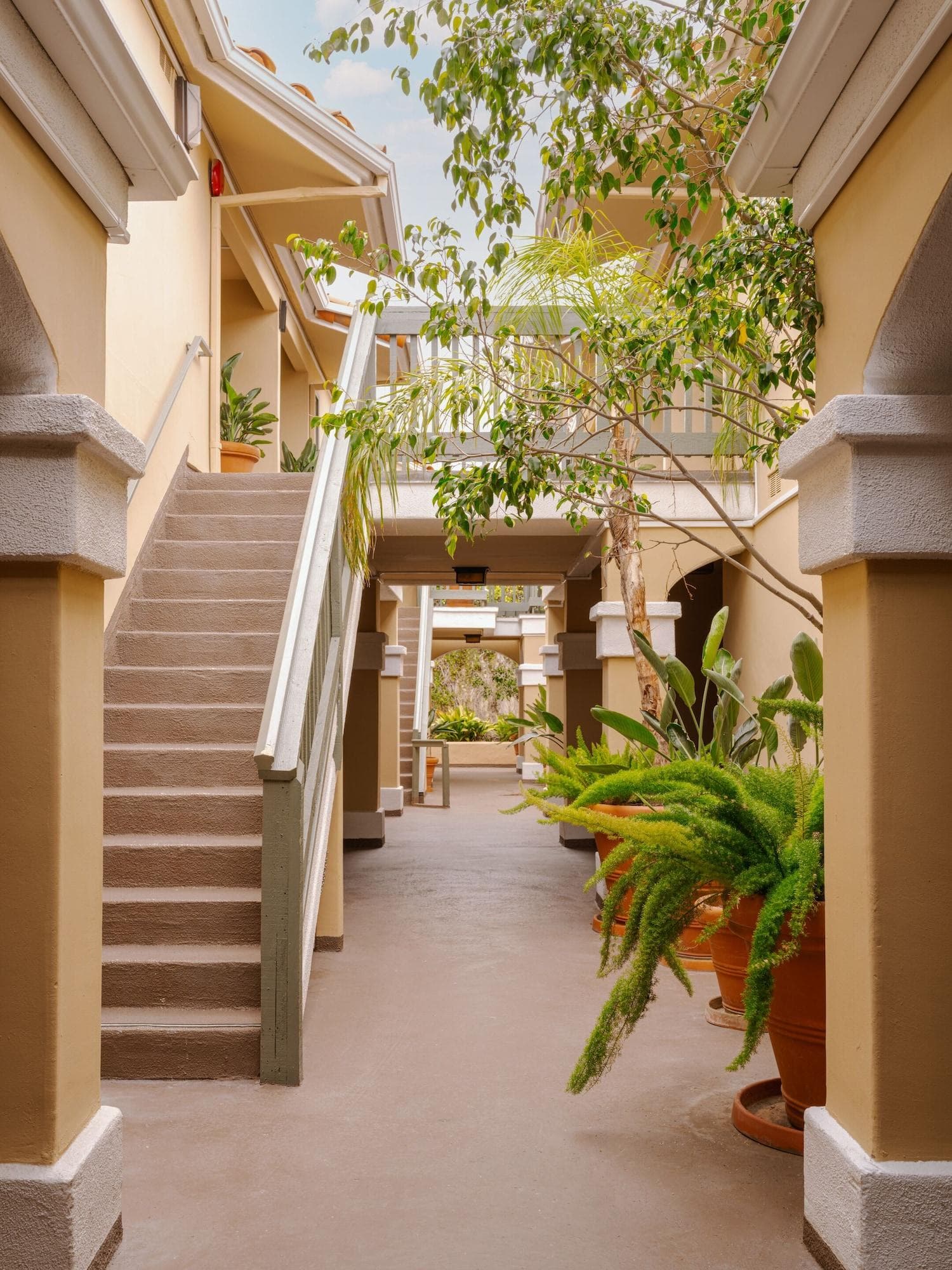 Sonder La Ensenada, General view