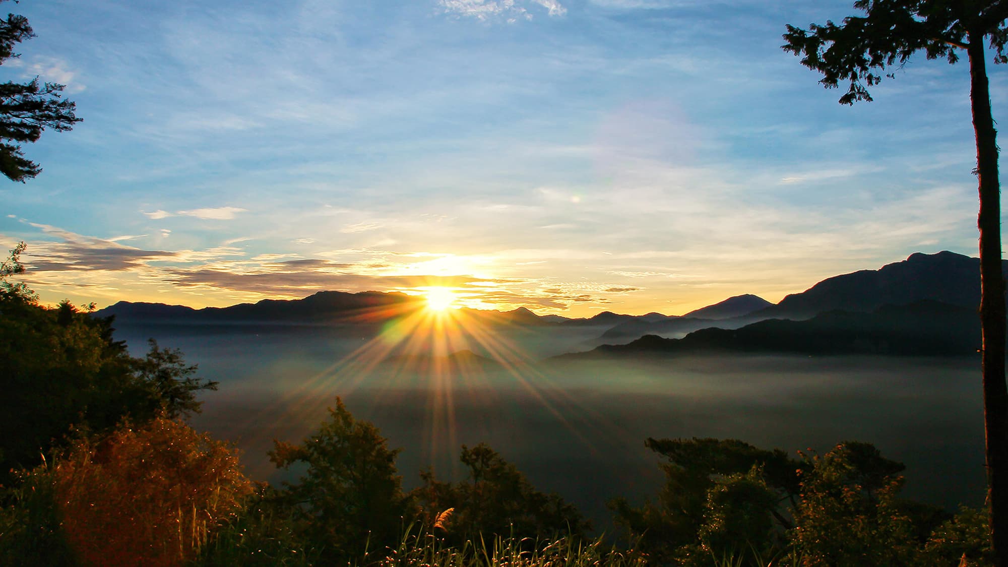 Hotel Indigo Alishan, General view