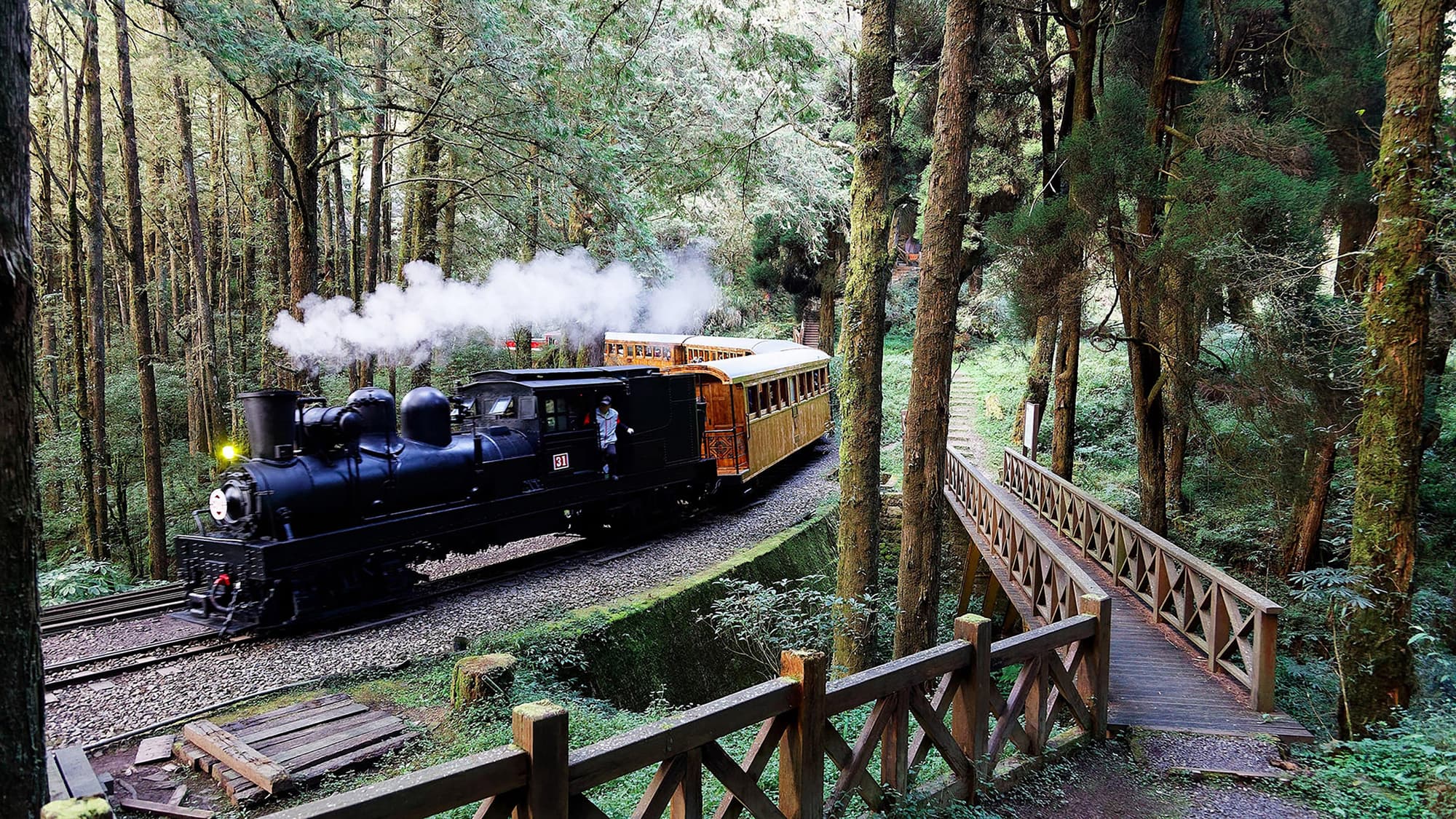 Hotel Indigo Alishan, General view