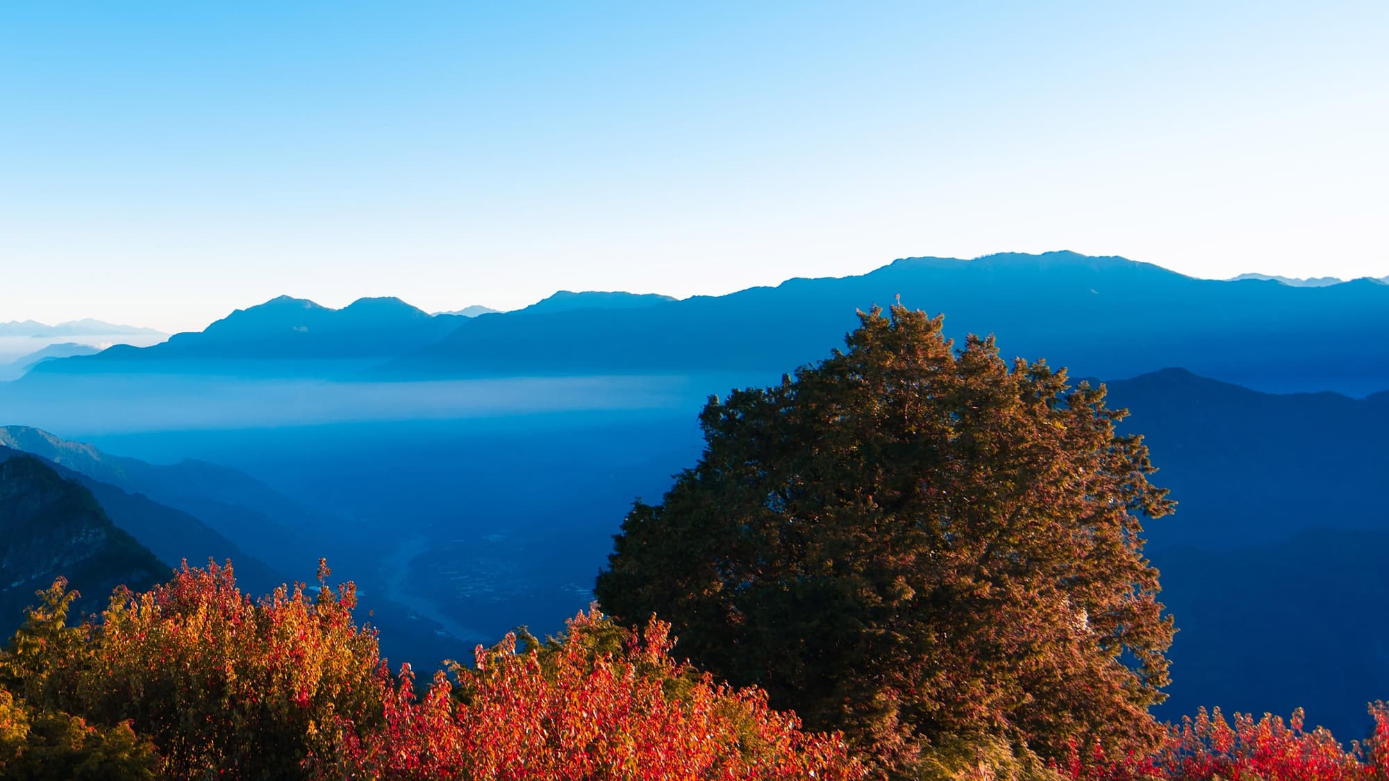 Hotel Indigo Alishan, General view