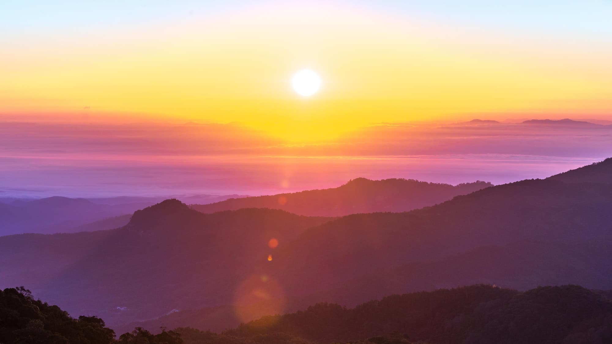 Hotel Indigo Alishan, General view