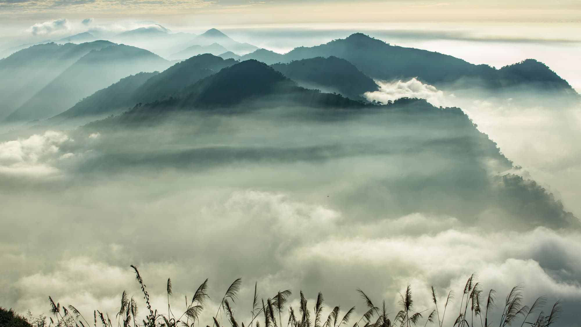 Hotel Indigo Alishan, General view
