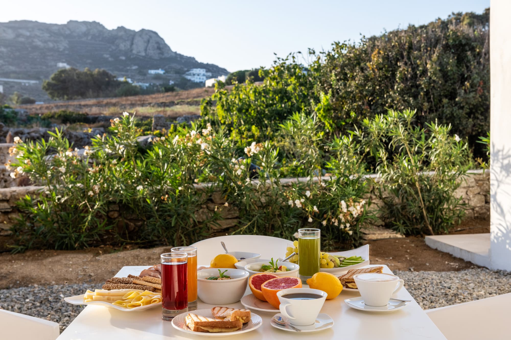 Mykonaki hotel, General view