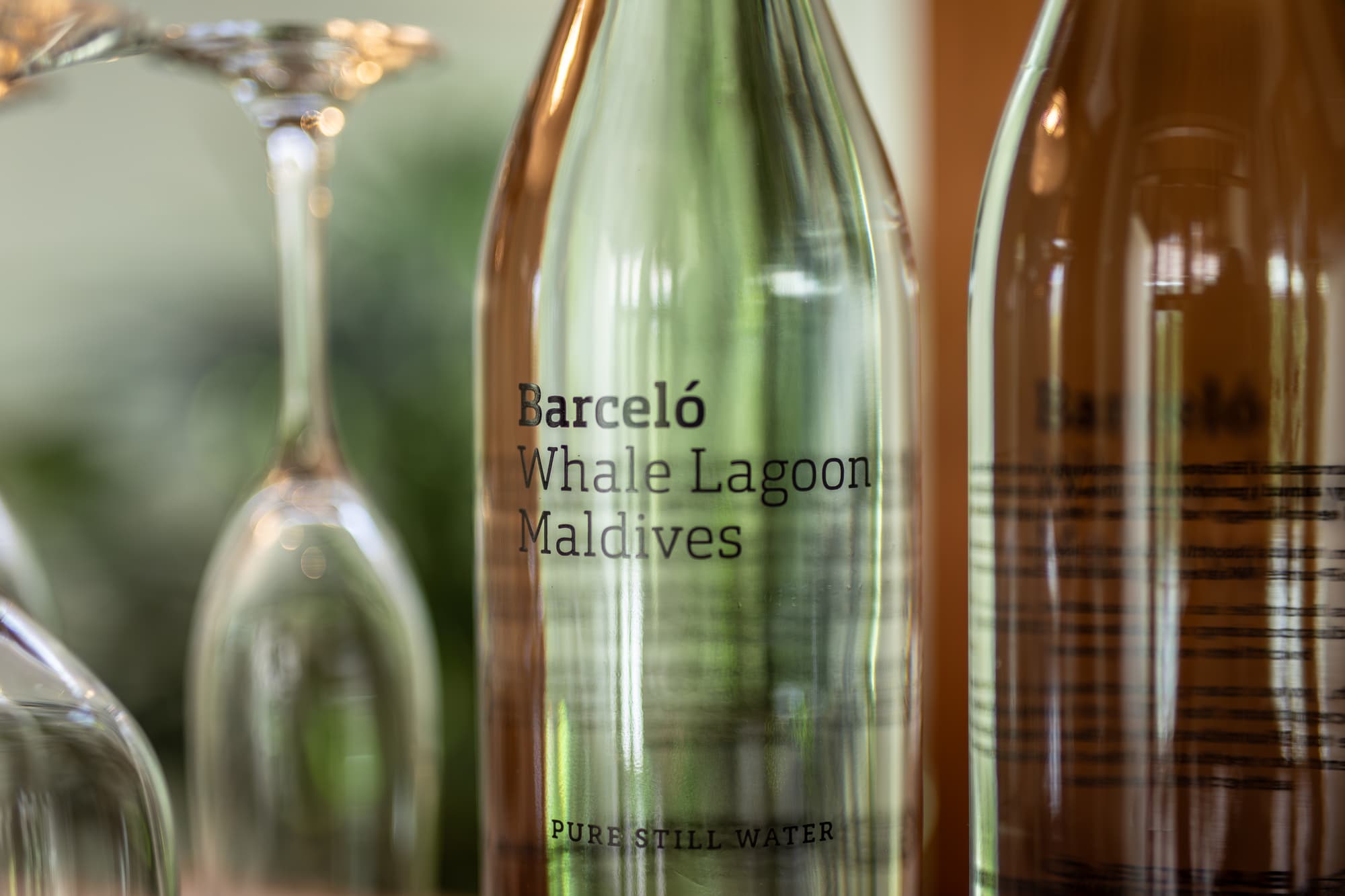 Barcelo Whale Lagoon Maldives, Room