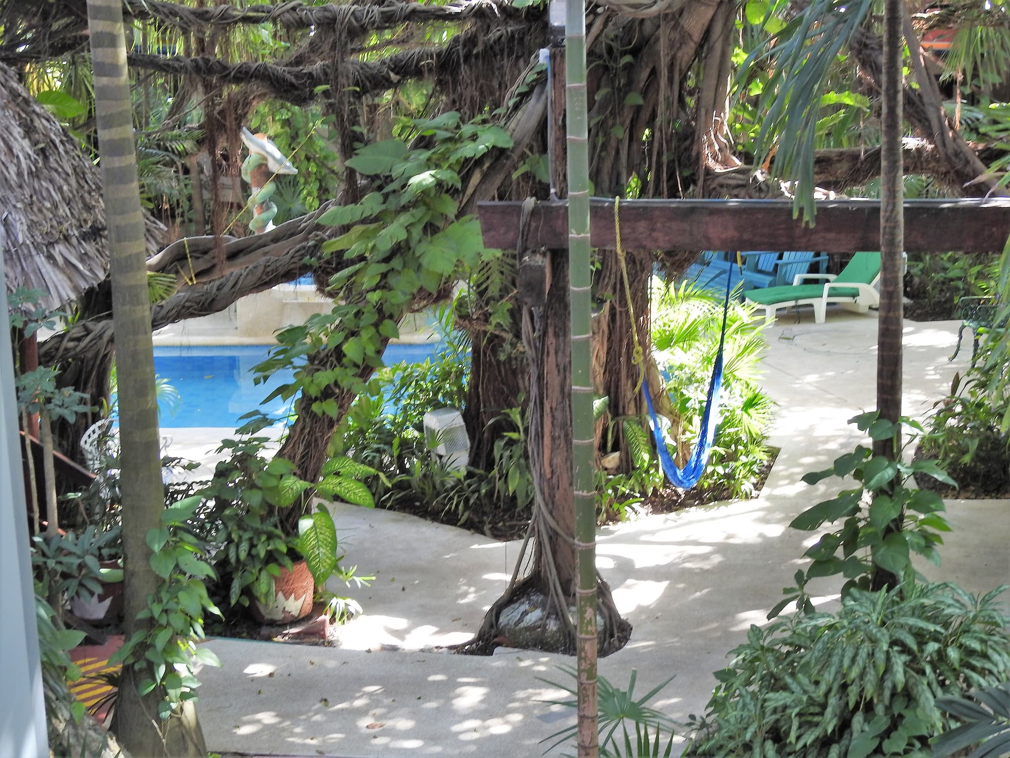 Eco-hotel El Rey Del Caribe, General view