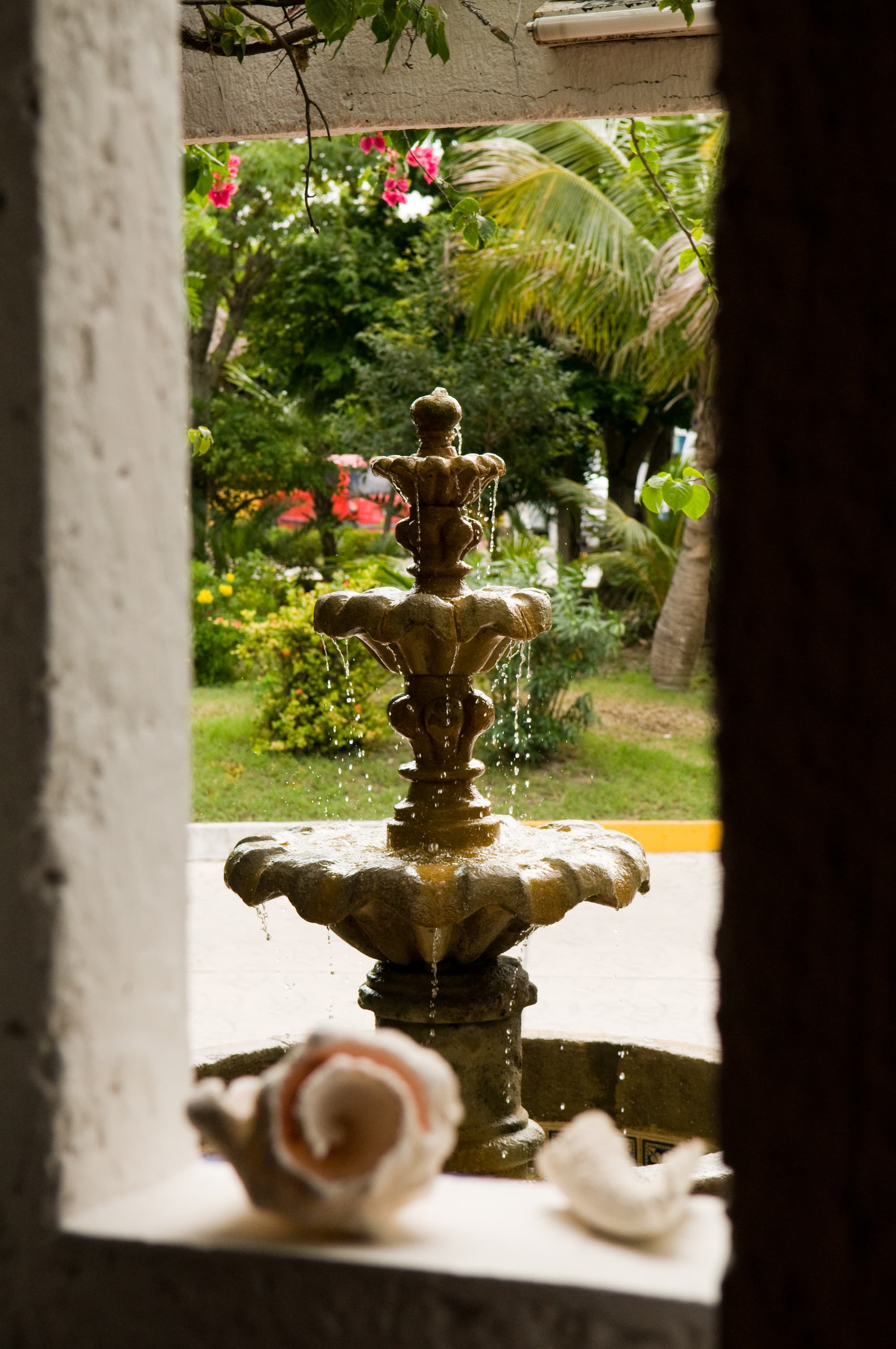 Eco-hotel El Rey Del Caribe, General view