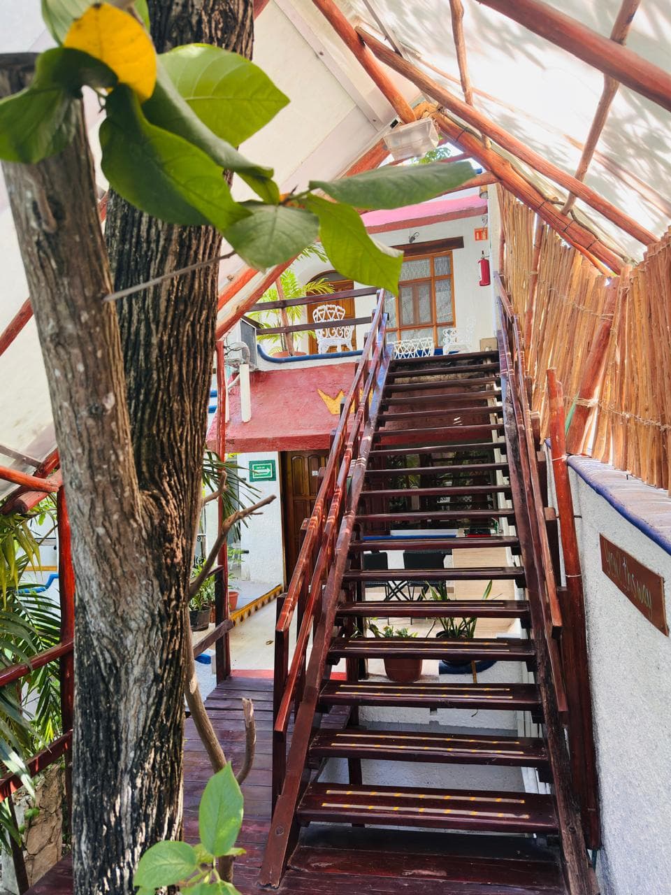 Eco-hotel El Rey Del Caribe, General view