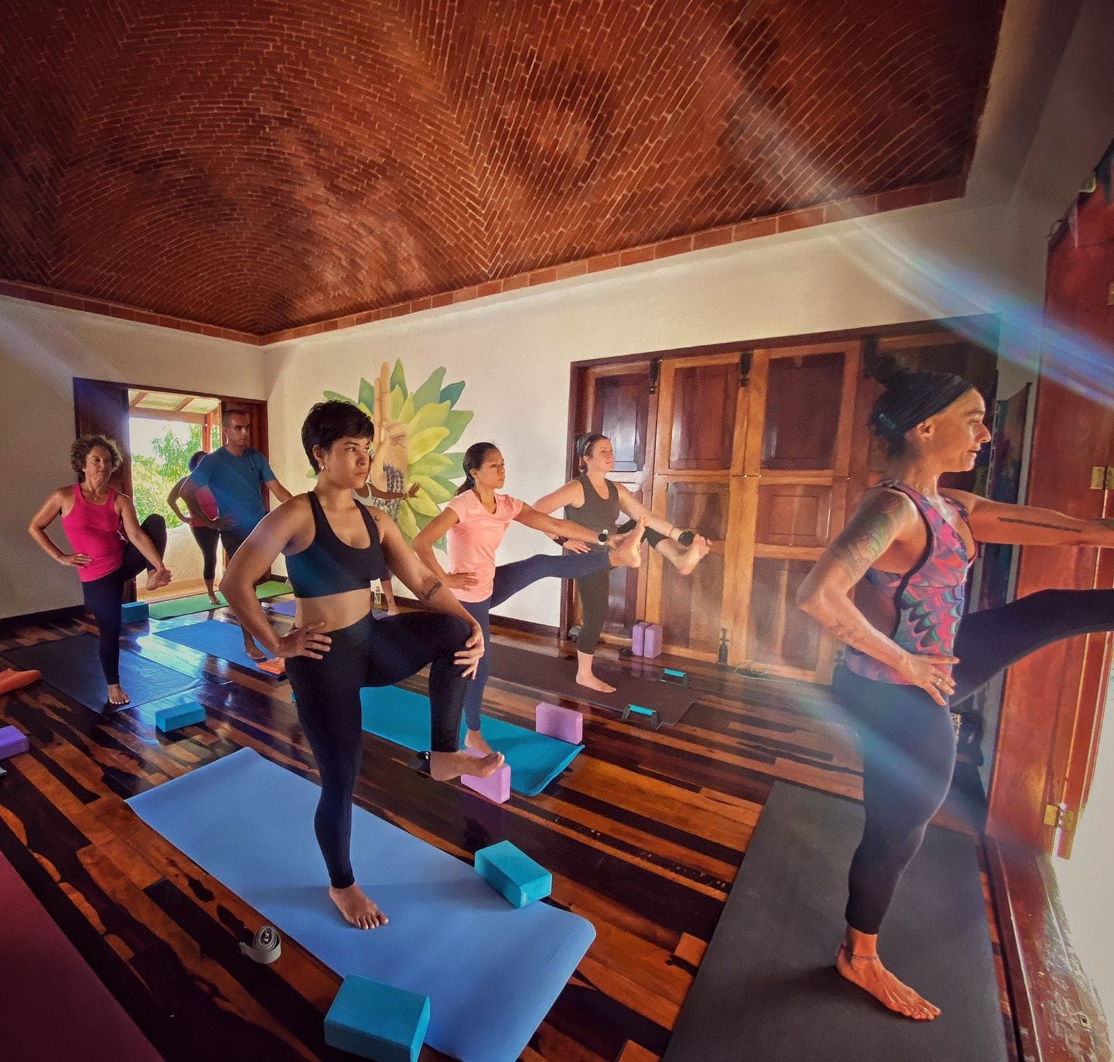 Eco-hotel El Rey Del Caribe, Terrace