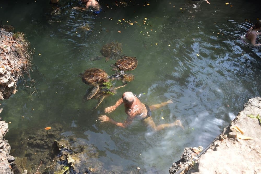 Zanzibar Dream Lodge, 