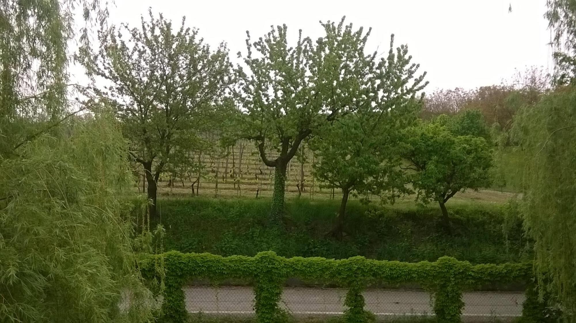 Agriturismo Cascina Barin, 