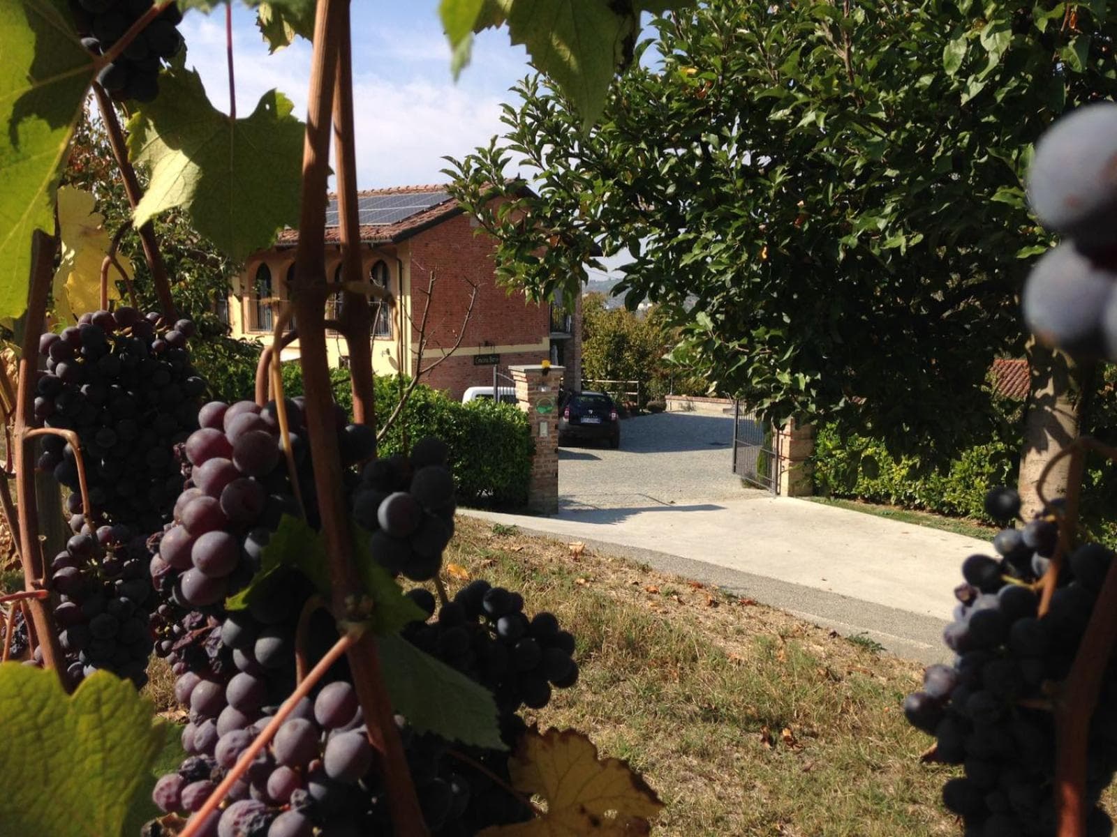 Agriturismo Cascina Barin, 