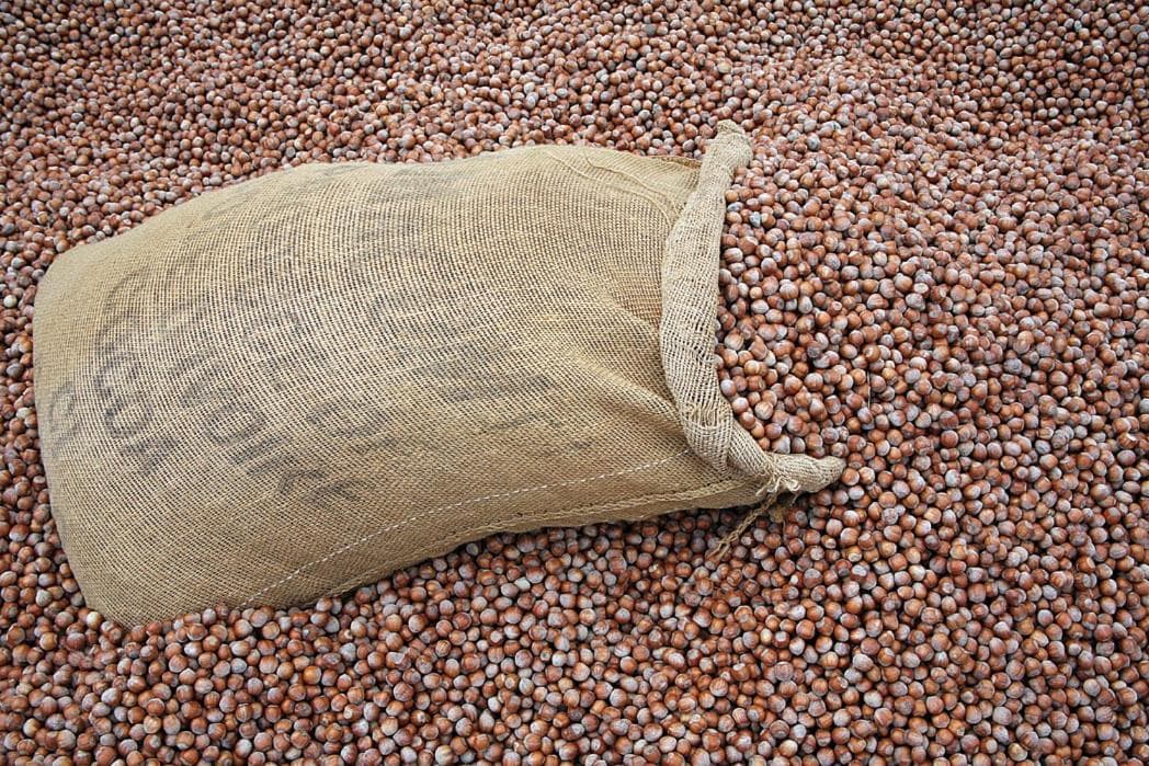 Agriturismo Cascina Barin, 