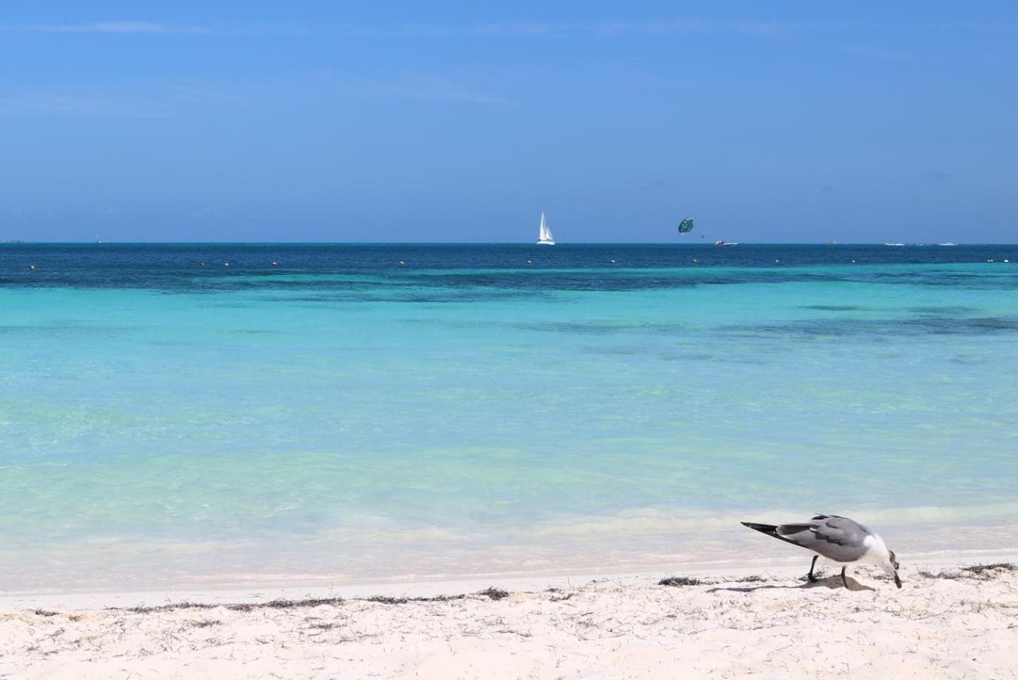 Seáak Cancun Rentals, 