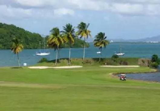 Nouveauté Clé En Main - L'eden - Studio Hotel Carayou: Bar, Piscine, Plages, 