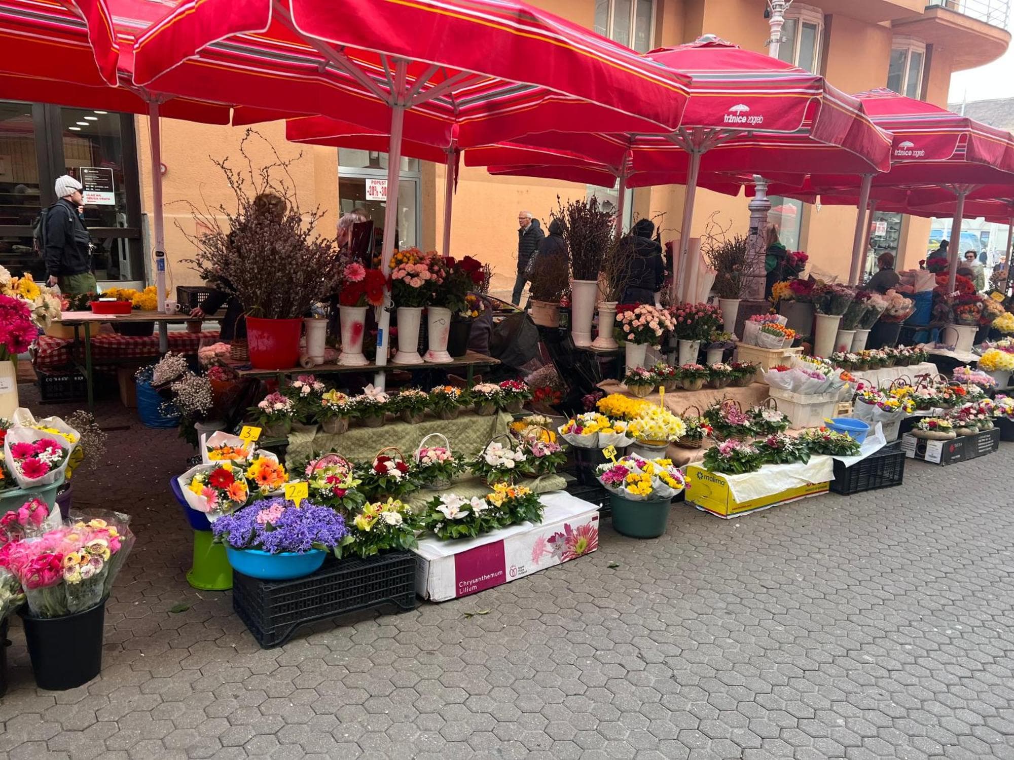 Studio apartman Luka, 