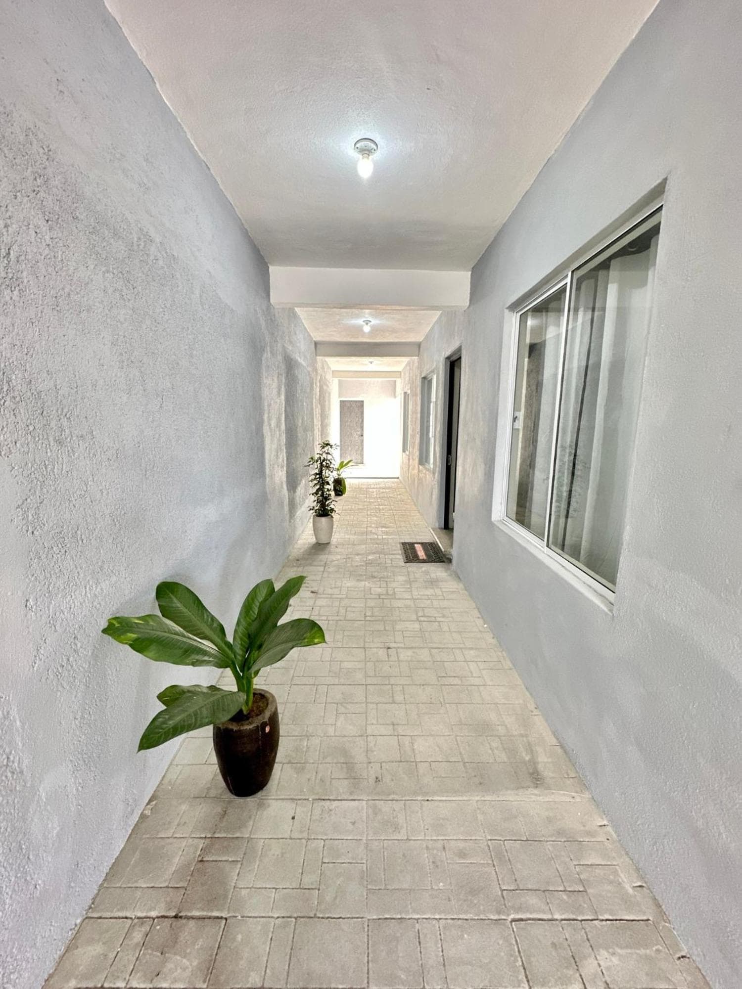 Departamentos Mayai & Yahelik, 