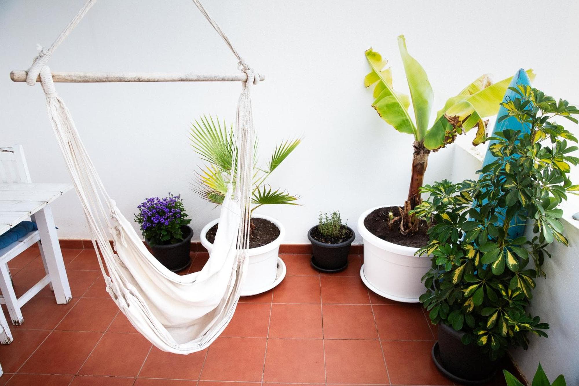 SURF DREAM Surfhouse, 