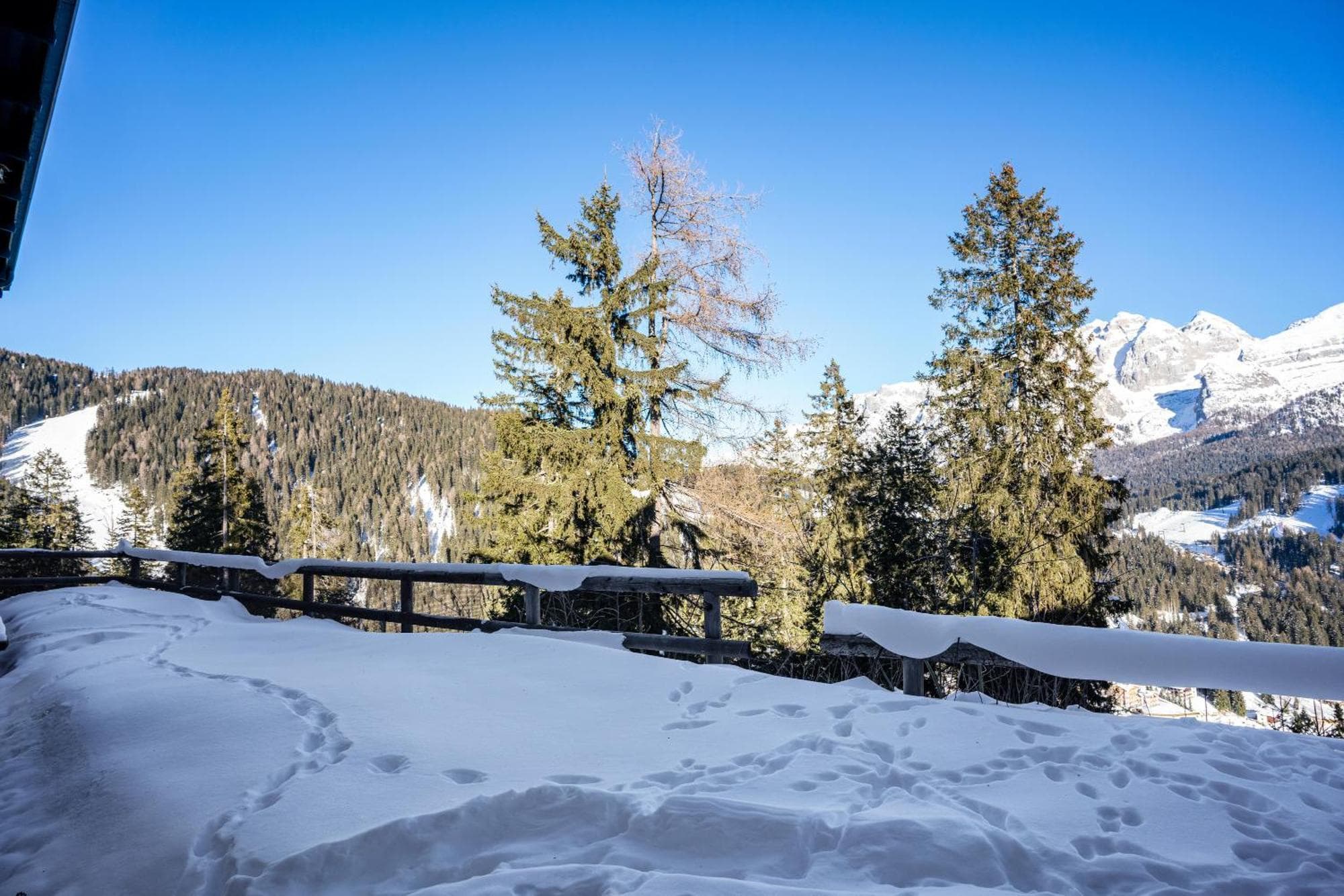 Patascoss - Madonna di Campiglio, 