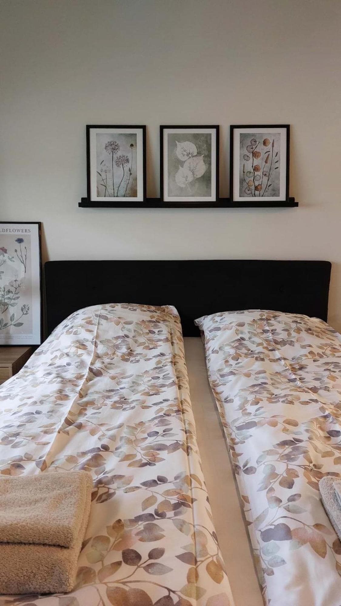 Scandinavian Home, free parking, 