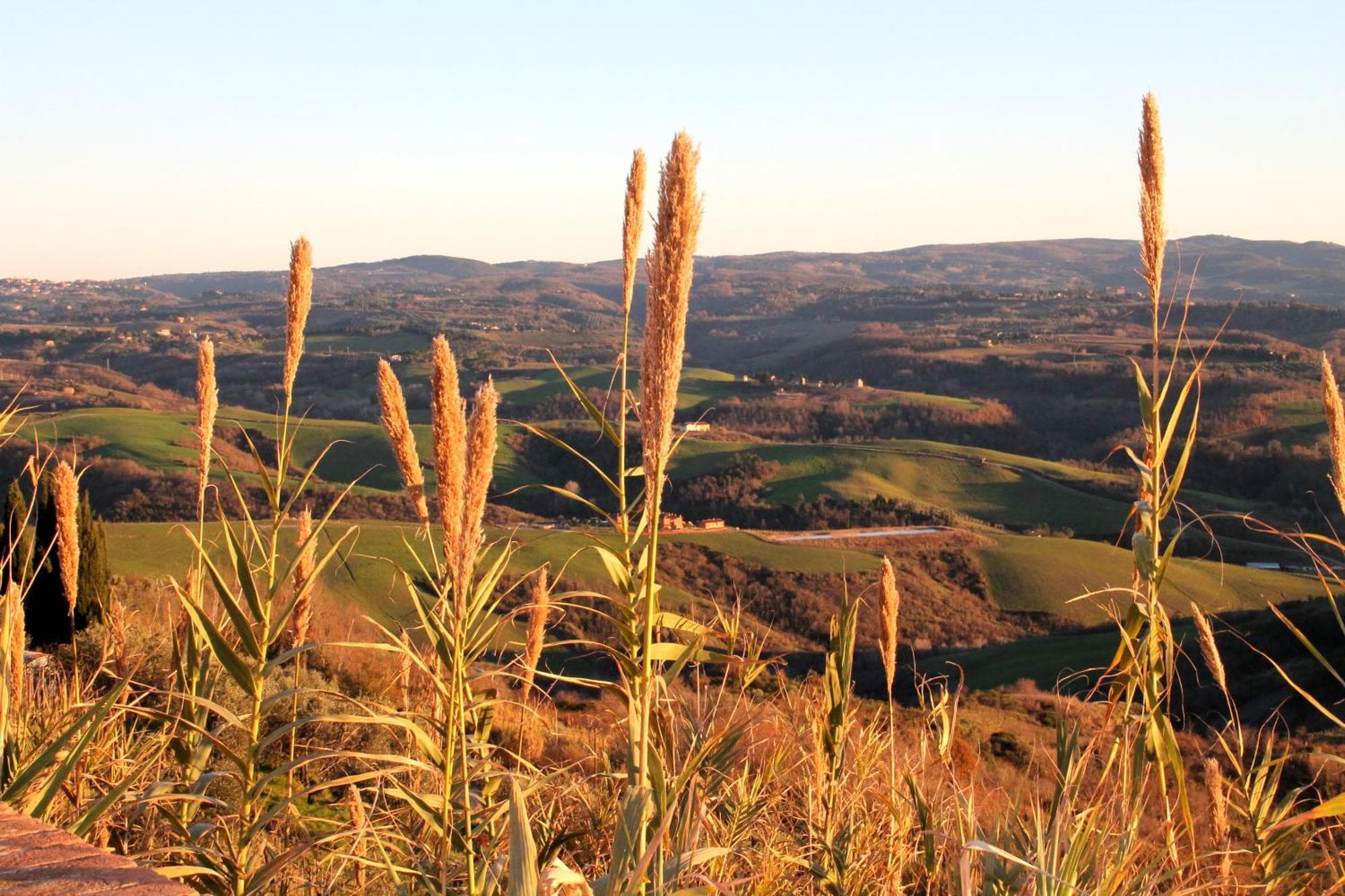 Agriturismo Le Docce, 