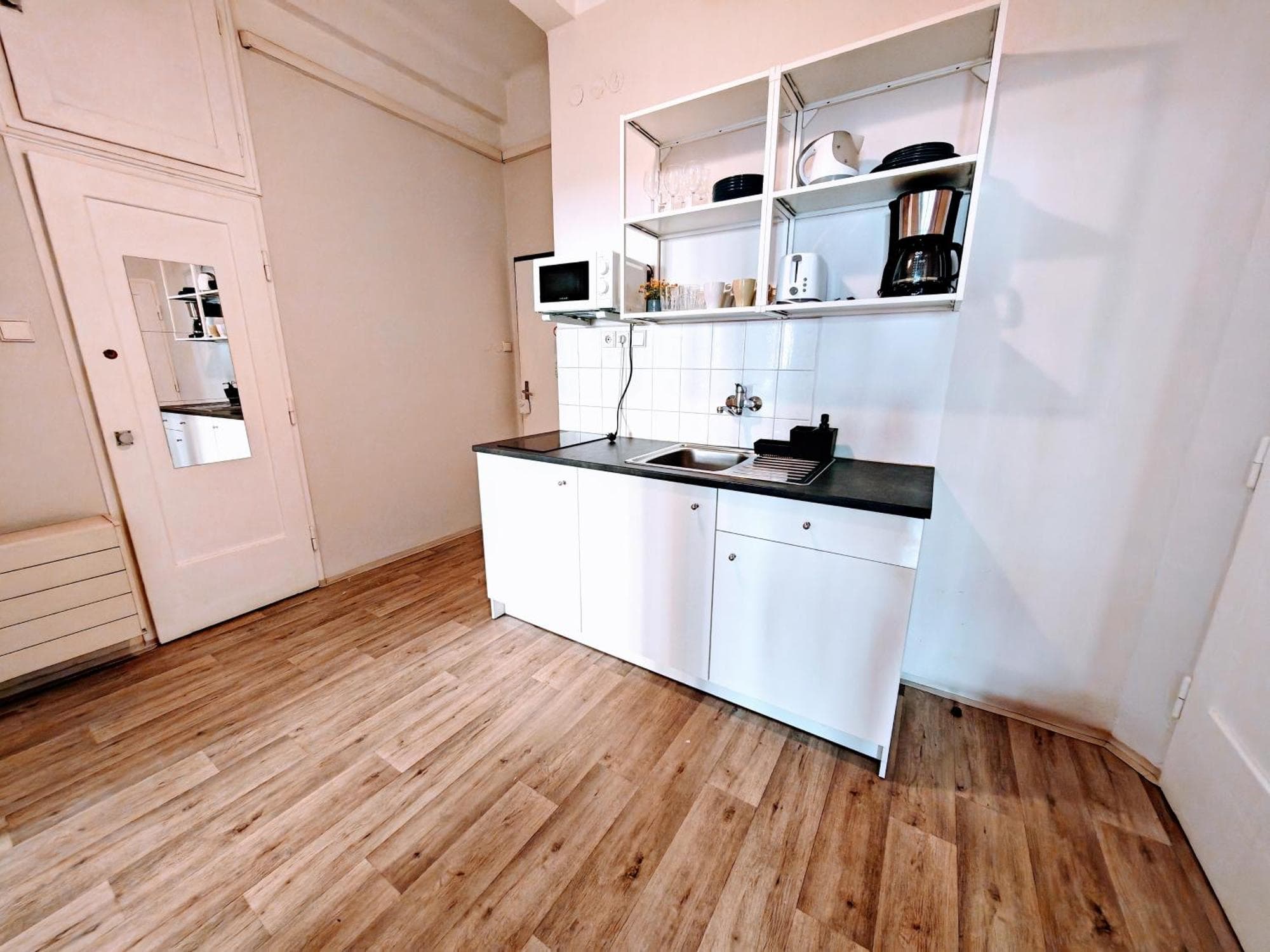 Flat in Zizkov -102-, 