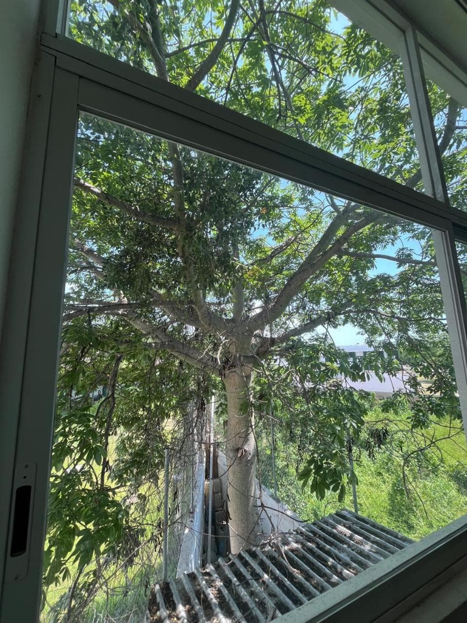 Almera Vallarta Hotel Suites, 