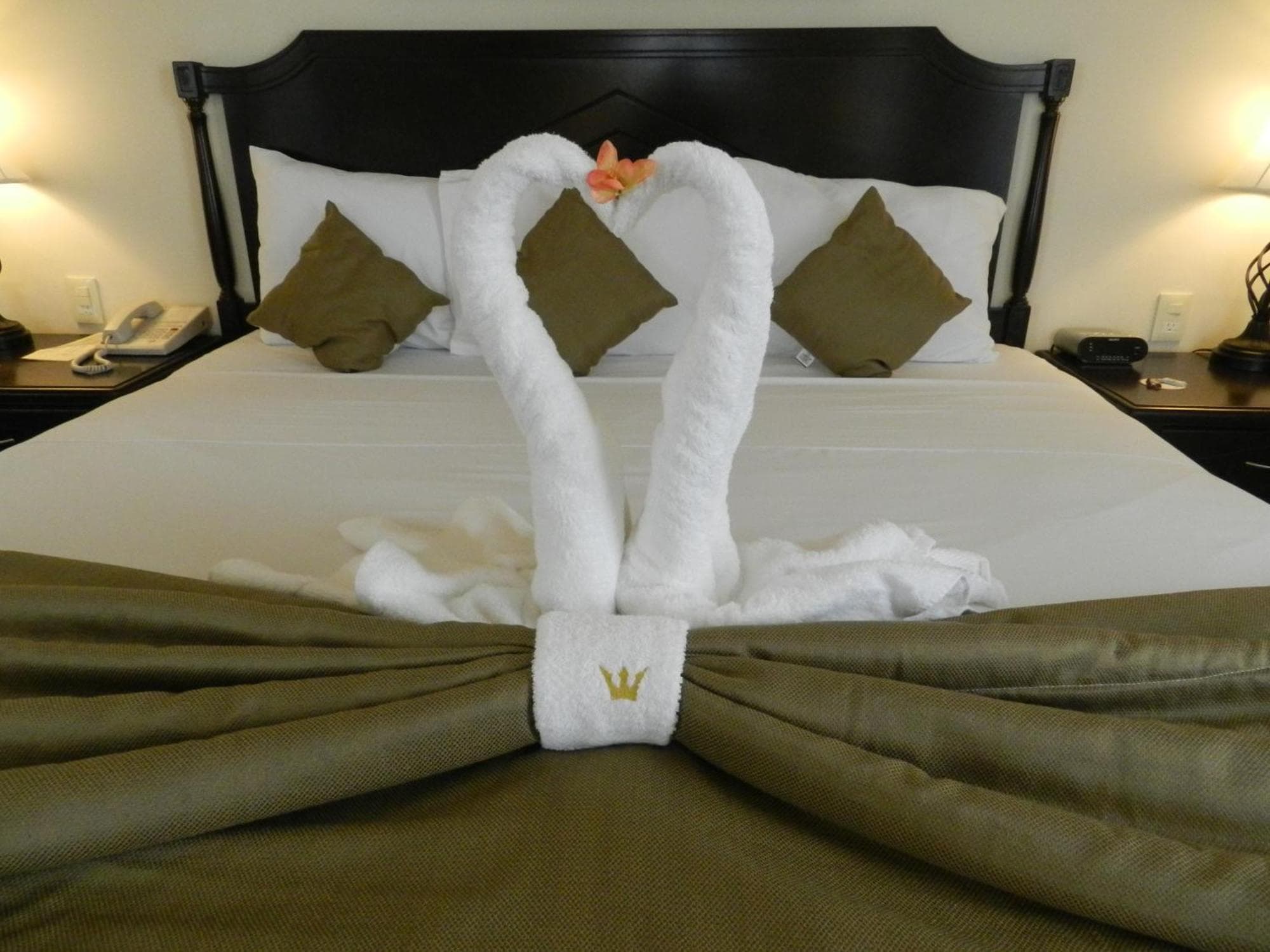 Hotel Victoria Merida, 