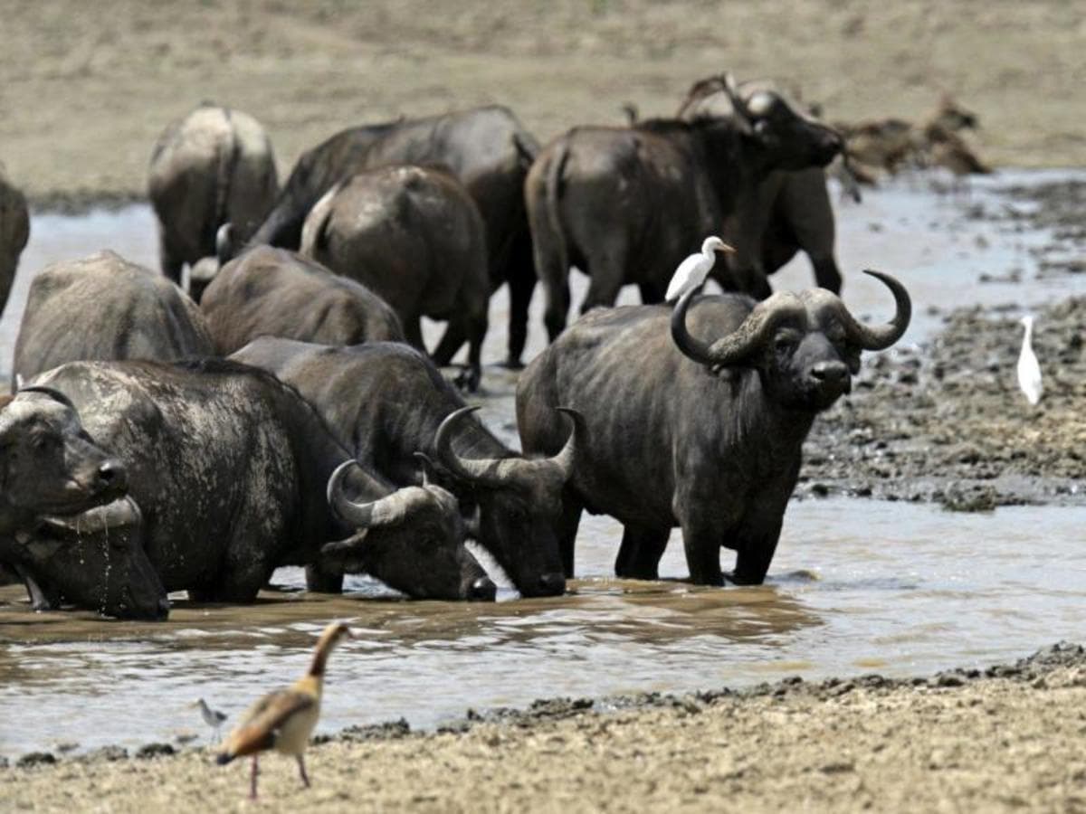 Durch das Rift Valley, Sentrim Lodges — Private Tour