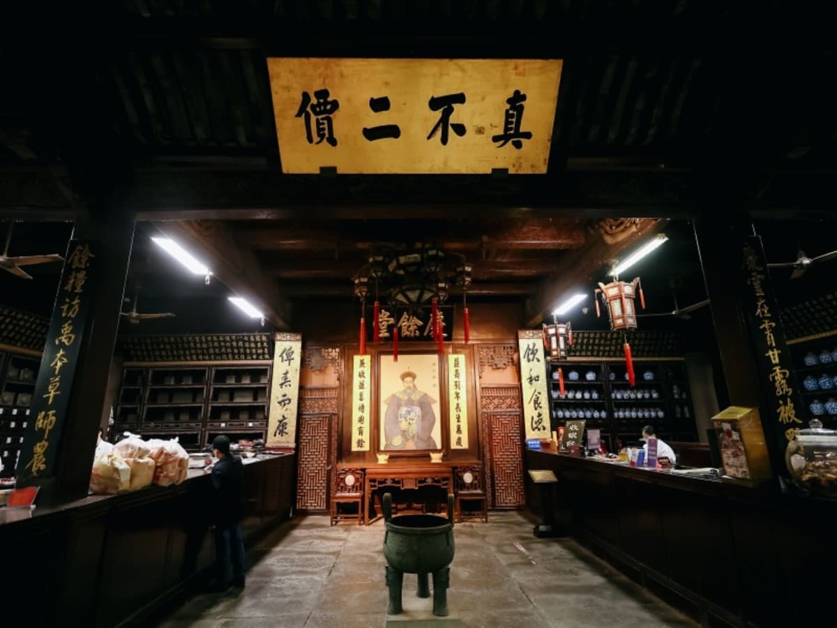 3 Days in Hangzhou: From Ancient Dynasties to Future Tech, Private Tour