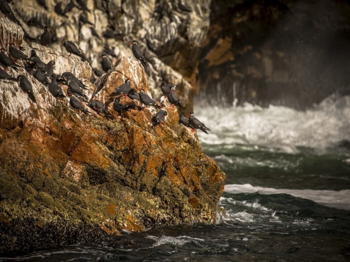 Wonderful Peruvian South, Private Tour