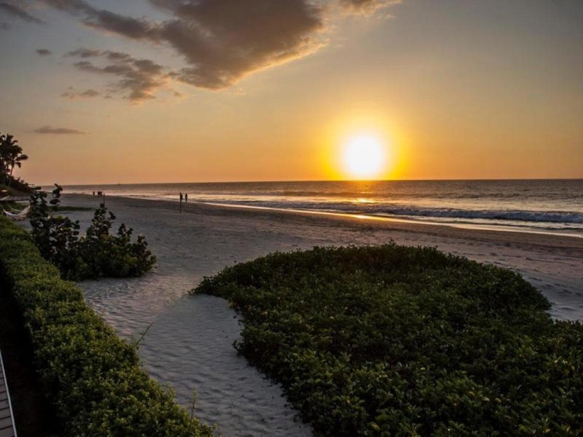 Northern Paradise, court séjour