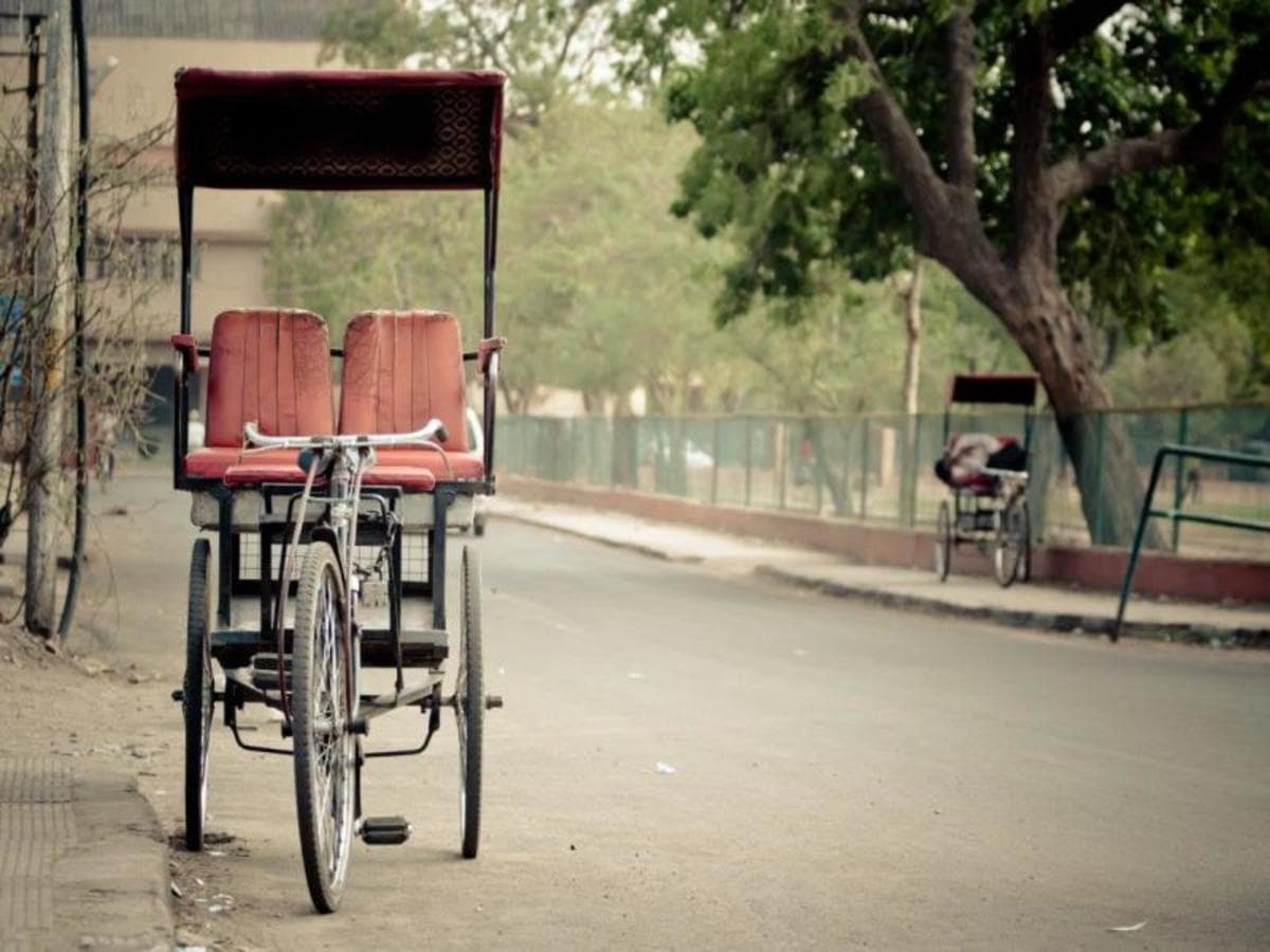 Höhepunkte Nordindiens, Deutschsprachiger Reiseleiter
