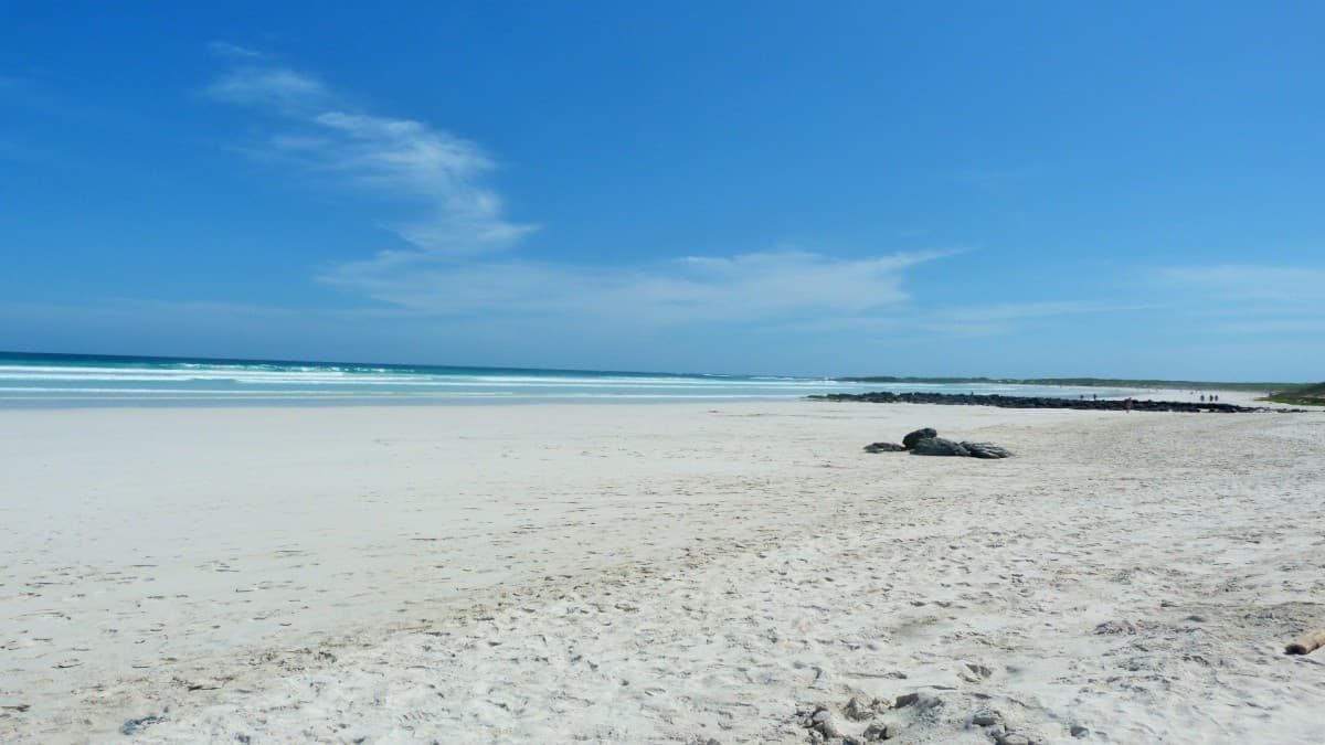 6 Días de Escapada a las Galápagos: Senderos Volcánicos y Encuentros con la Vida Silvestre