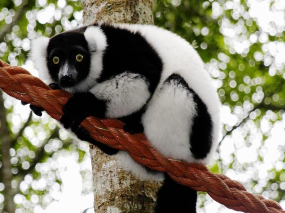 Cape Town and Garden Route