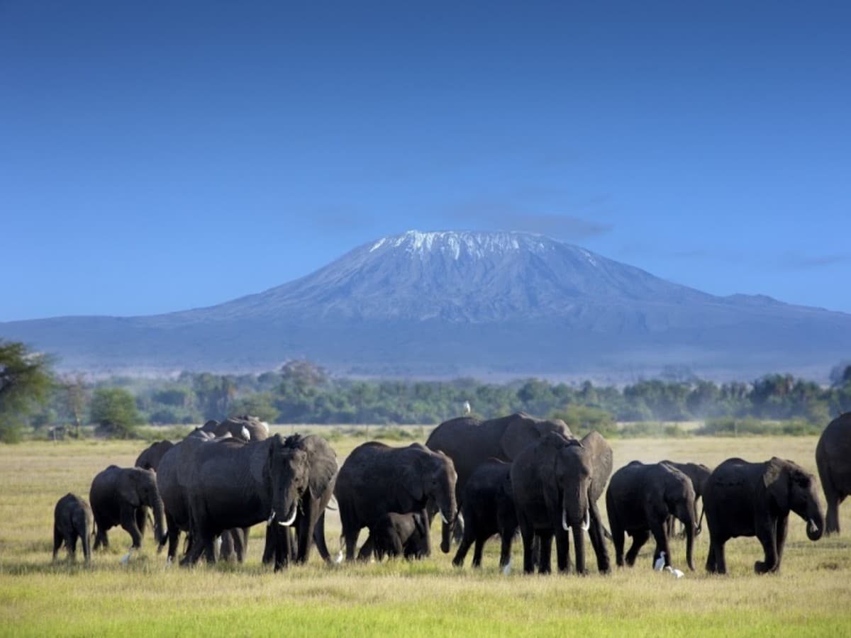 Malerische Kenia-Safari, private Tour
