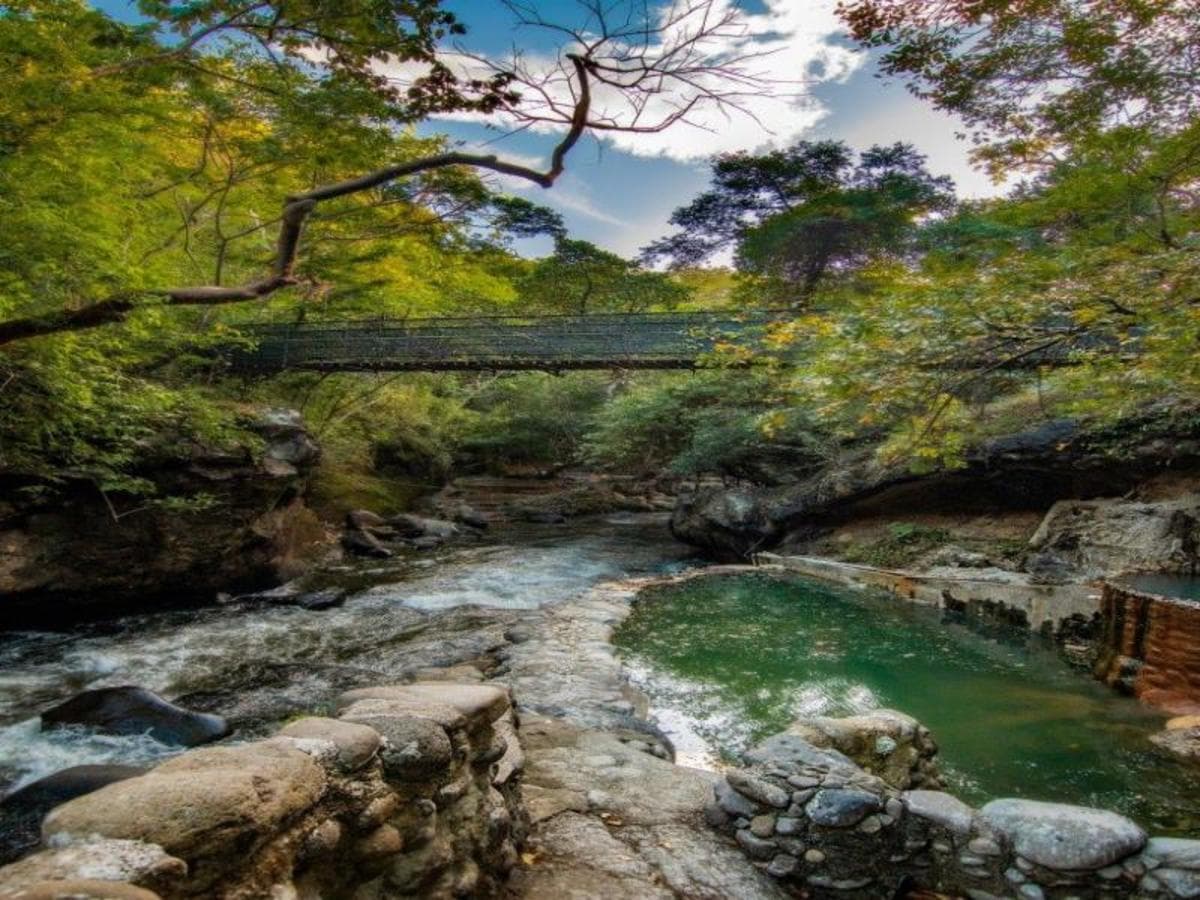 Mystic Waterfalls & Forests Of Costa Rica