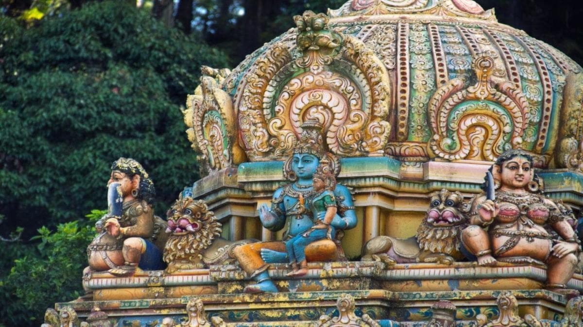 Cultural Highlights of Sri Lanka 6 Days, Private Tour