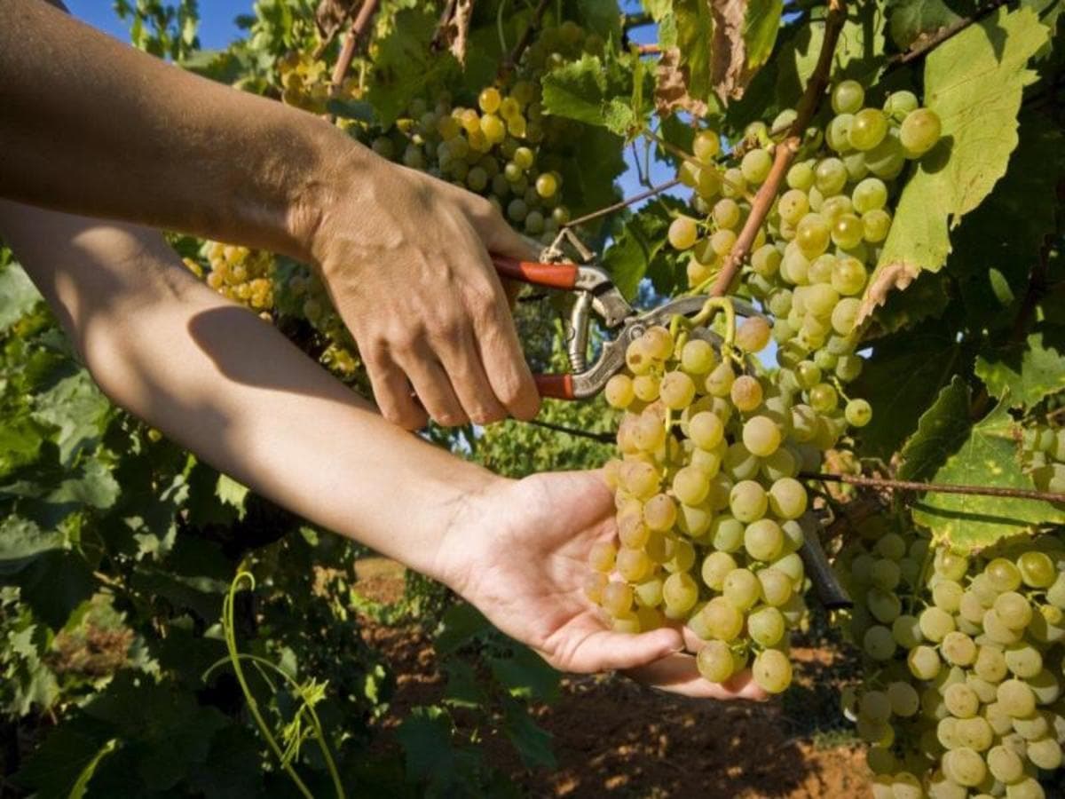 Grüne Ausflüge in Istrien und Slowenien 8 Tage, Selbstfahrt