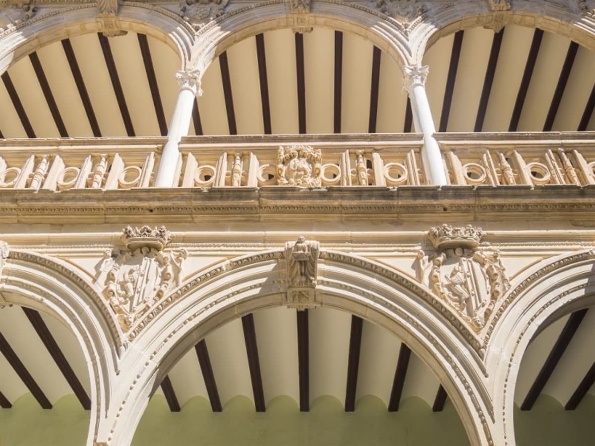 Tropische Küste und Natur, Selbstfahrer