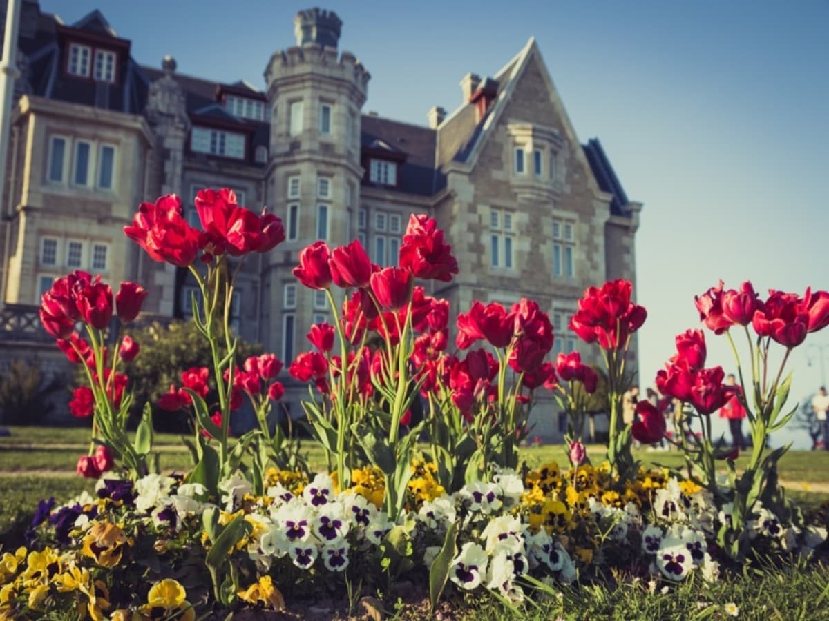 Die nördliche Route, Selbstfahrer