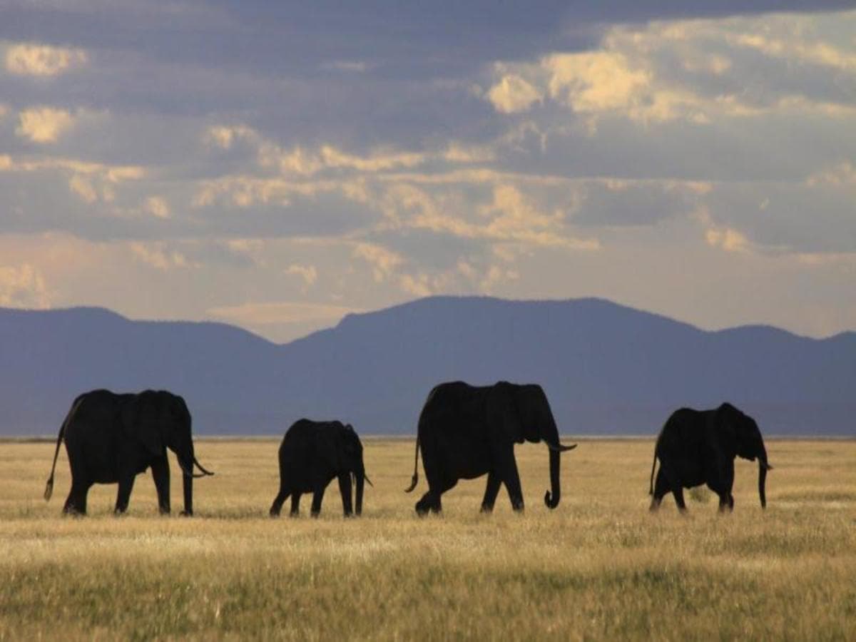 Through the Rift Valley, Serena Lodges - Private Tour