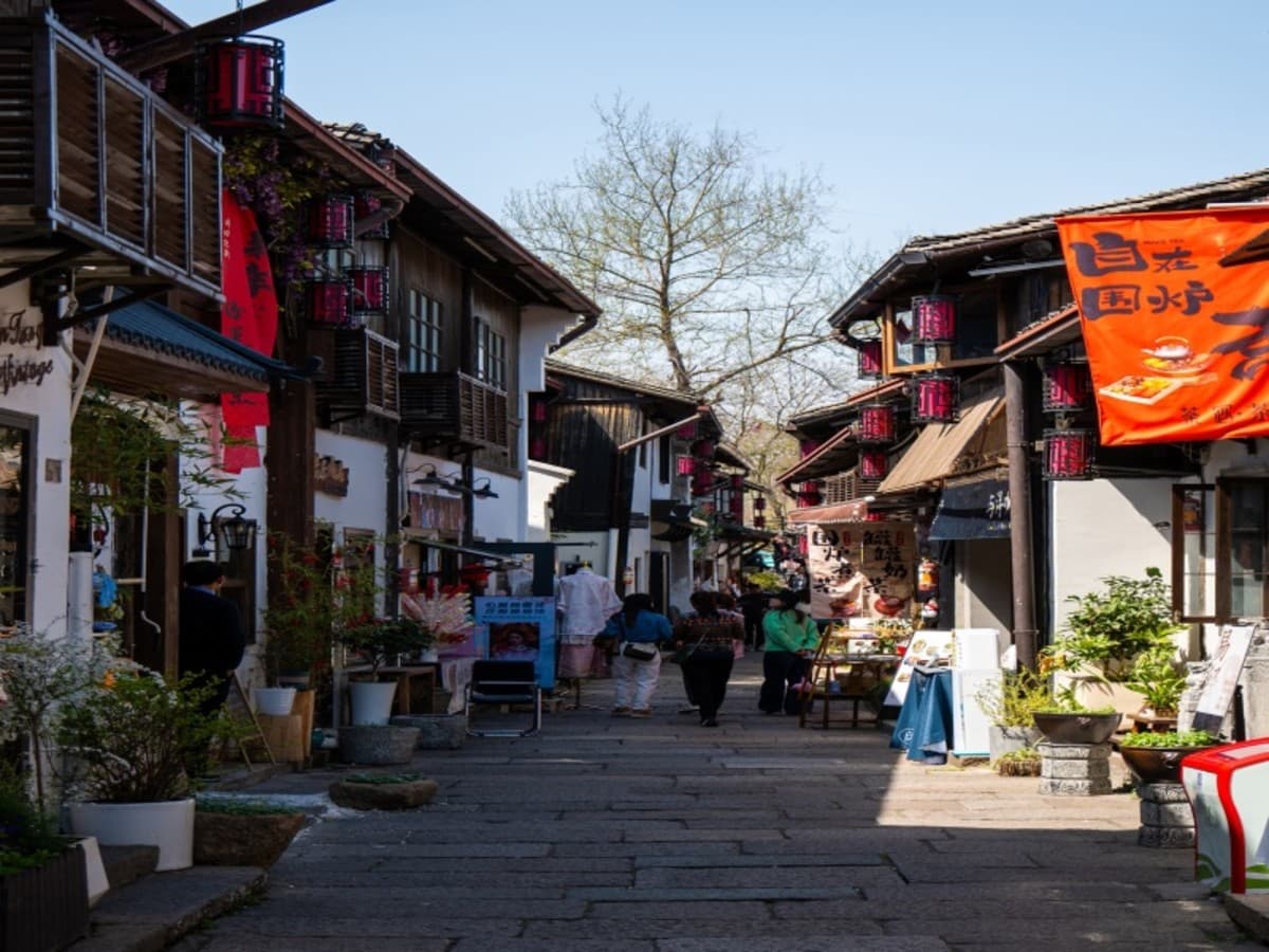 4 Days in Hangzhou: Tea Heritage, Private Tour