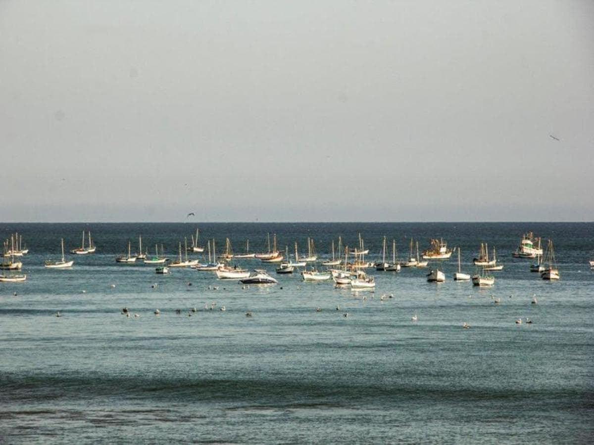 Northern Paradise, court séjour