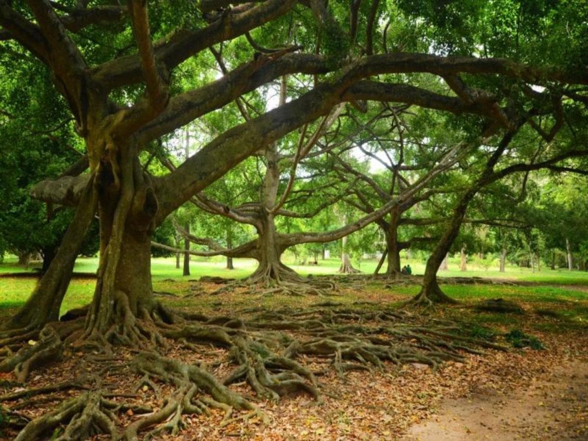 Tour on the Hills, Private Tour