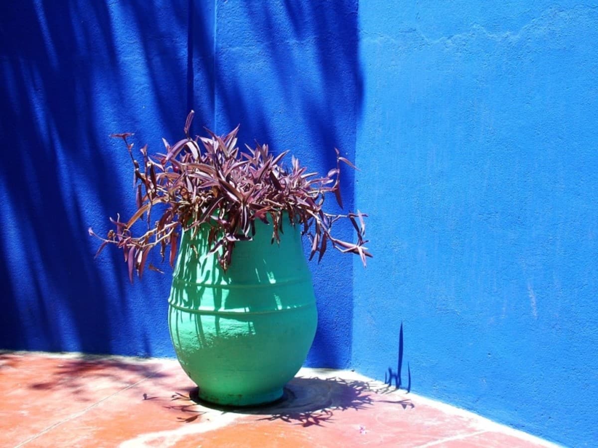 Chefchaouen - Norte, Tour privado