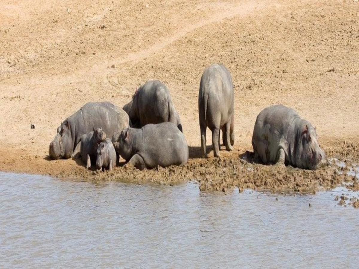 Kruger National Park Safari Experience, Self-drive