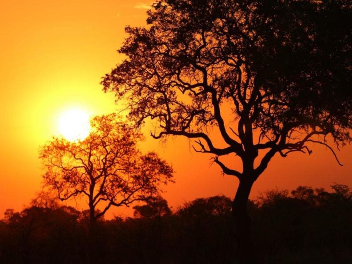 Etosha Safari Adventure, Conducción por cuenta propia