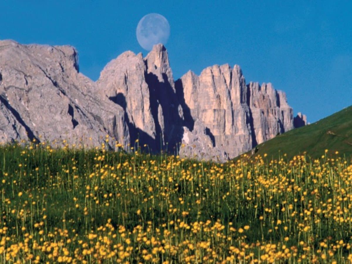 Le Dolomiti e il Prosecco, Self-Drive