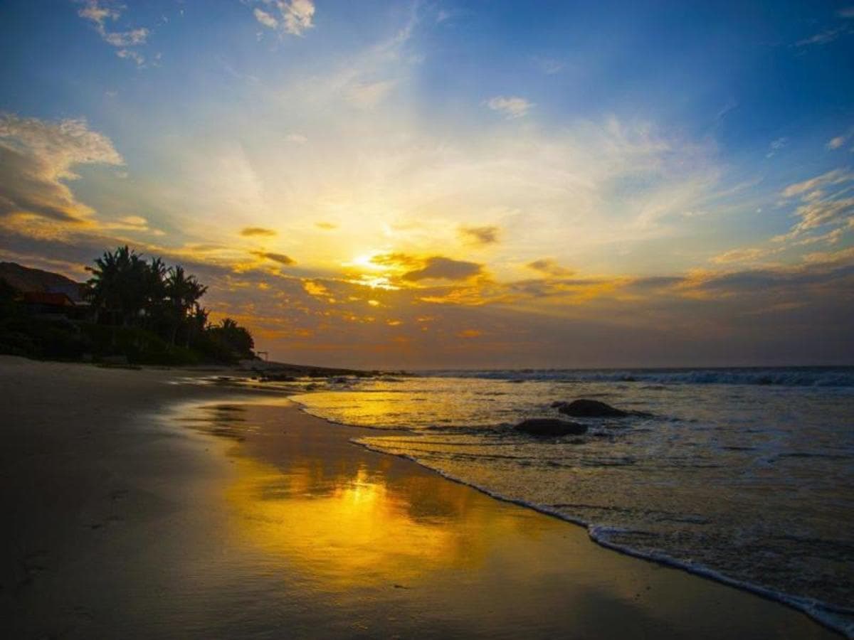 Northern Paradise, court séjour